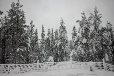 180210_0576.jpg
