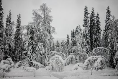 180210_0580.jpg