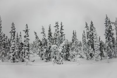 180210_0586.jpg