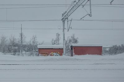 180210_0599.jpg