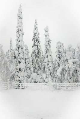 g13/04/318004/3/175779965.4d927f86.JPEG