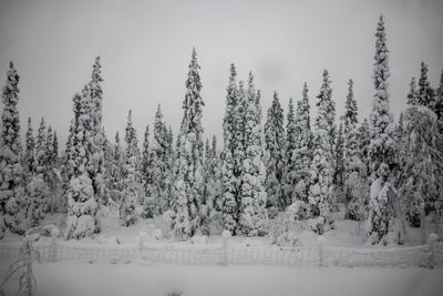 180210_0606.jpg