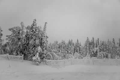 180210_0608.jpg