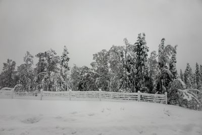g13/04/318004/3/175779969.c0a32894.JPEG
