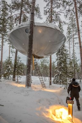 Treetop Hotel