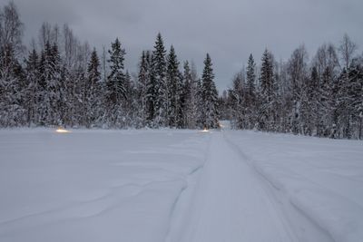180210_0680.jpg