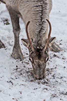 180211_0878-Edit.jpg
