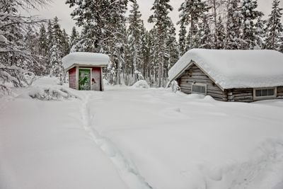 180211_0920-Edit.jpg