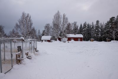 180212_0997.jpg