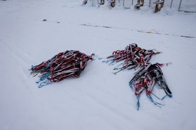 180212_1014.jpg