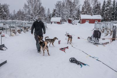 180212_1036.jpg