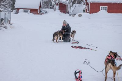 180212_1040.jpg