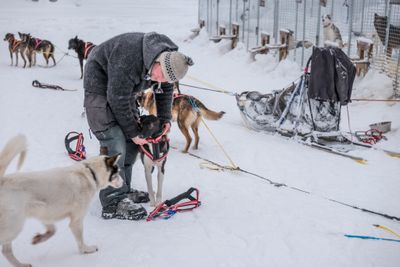 180212_1086.jpg