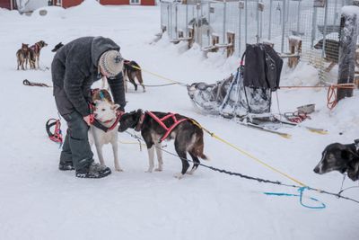 180212_1090.jpg