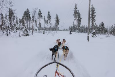 180212_1127.jpg