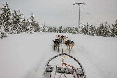 180212_1134.jpg