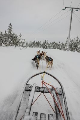 g13/04/318004/3/175780252.83491a53.JPEG