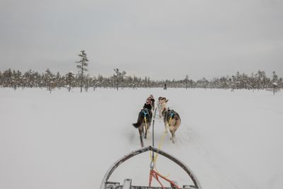 180212_1138.jpg