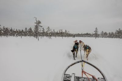 180212_1139.jpg