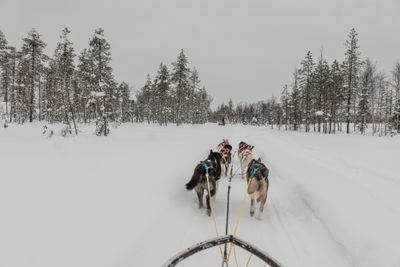180212_1141.jpg
