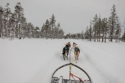 180212_1142.jpg