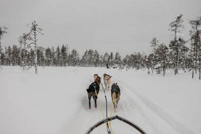 180212_1145.jpg