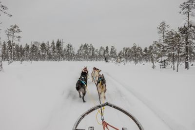 180212_1146.jpg