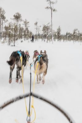 180212_1163.jpg