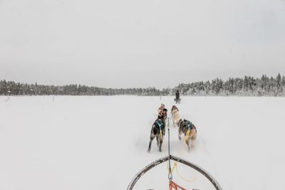 180212_1170.jpg