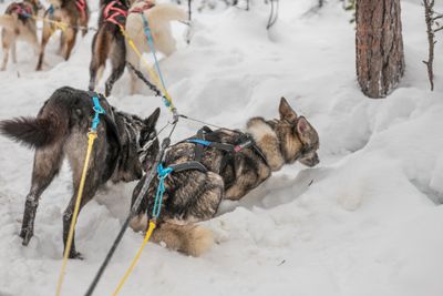180212_1181.jpg