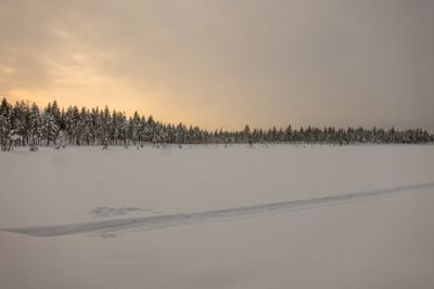 180212_1190.jpg