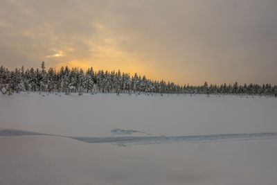 g13/04/318004/3/175780289.7f4b4fb2.JPEG
