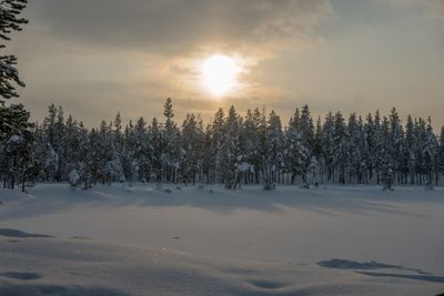 180212_1198.jpg