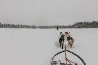 180212_1224.jpg