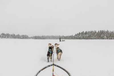 180212_1225.jpg