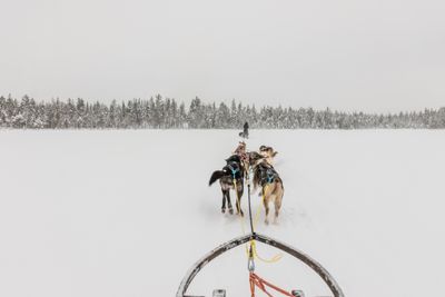 180212_1243.jpg