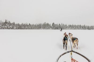180212_1244.jpg