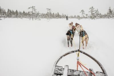 180212_1261.jpg