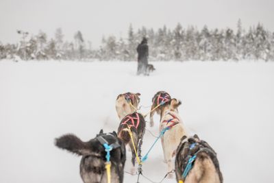180212_1269.jpg