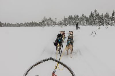 180212_1275.jpg