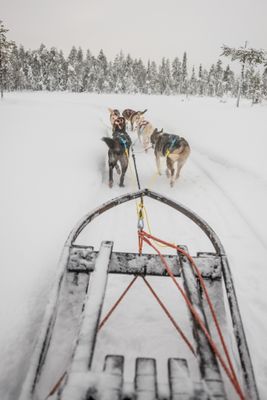 180212_1283.jpg