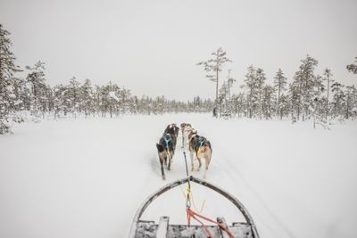 180212_1285.jpg