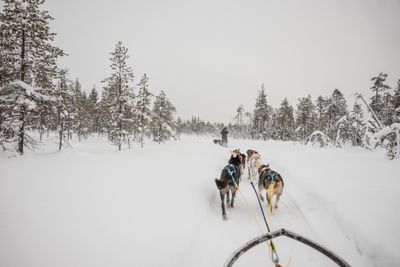180212_1286.jpg