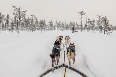180212_1287.jpg