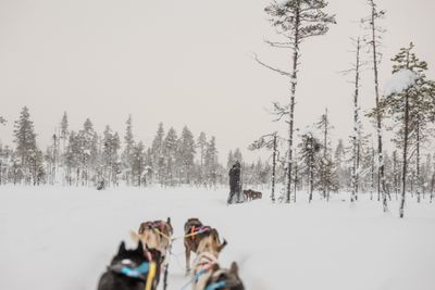 180212_1289.jpg