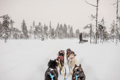 180212_1290.jpg