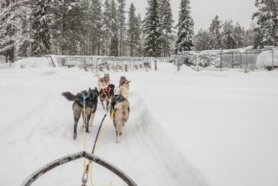180212_1297.jpg