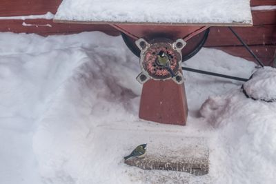 180212_1310.jpg