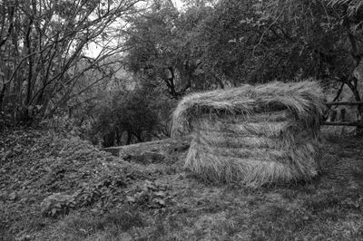 120919_1812-Edit.jpg