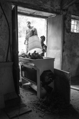 g13/04/318004/3/175781108.f898d571.JPEG